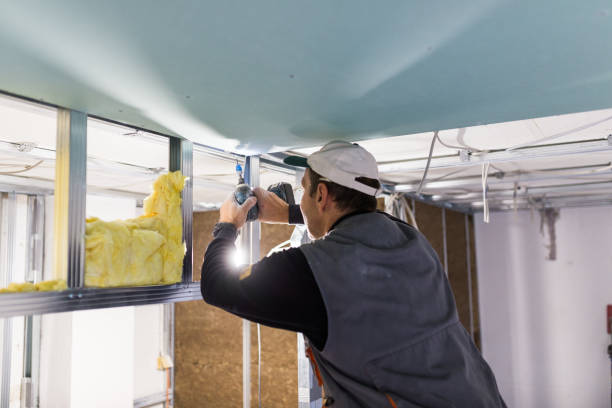 Types of Insulation We Offer in Stafford, TX