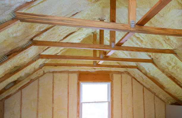 Best Insulation Maintenance and Repair in Stafford, TX