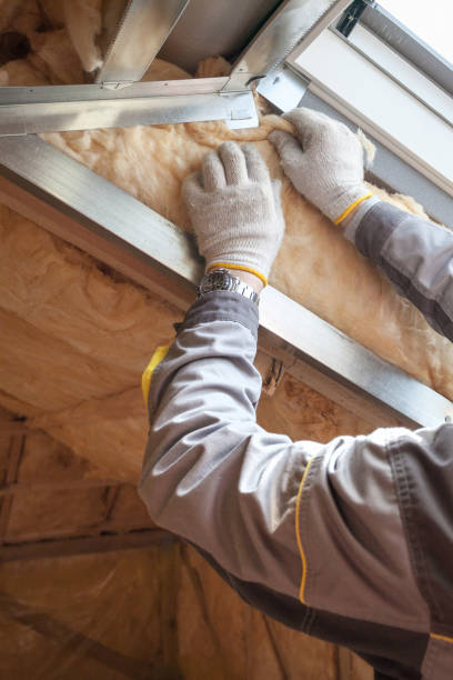 Best Blown-in Insulation in Stafford, TX
