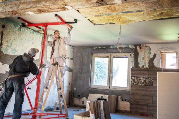 Best Geographic-Specific Insulation Services in Stafford, TX