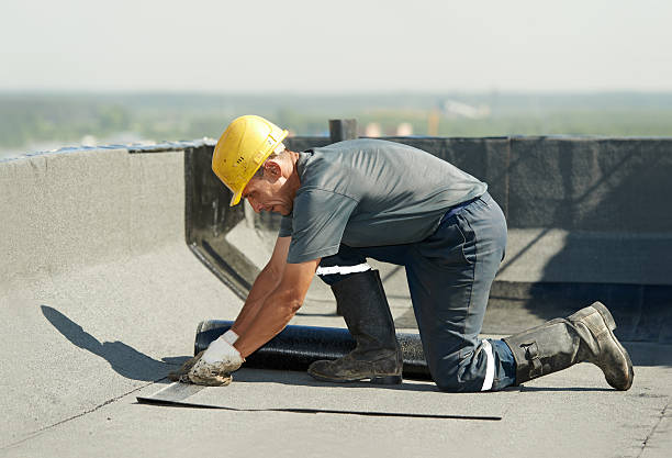 Best Specialized Insulation Services in Stafford, TX